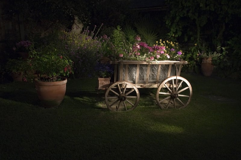 Nighttime Charm